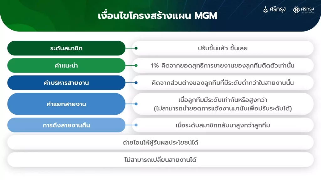 เงื่อนไขโครงสร้างแผน MGM